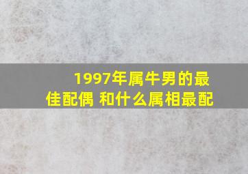 1997年属牛男的最佳配偶 和什么属相最配